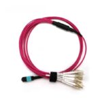 OM4-Multimode-MPO-12-Breakout-Cable-Magenta.jpg