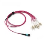 OM4-Multimode-MPO-12-Breakout-Cable-Magenta.jpg