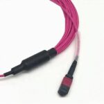 OM4-Multimode-MPO-24-Breakout-Cable-Magenta.jpg