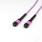OM4-Multimode-MPO-24-Trunk-Cable-Magenta.png